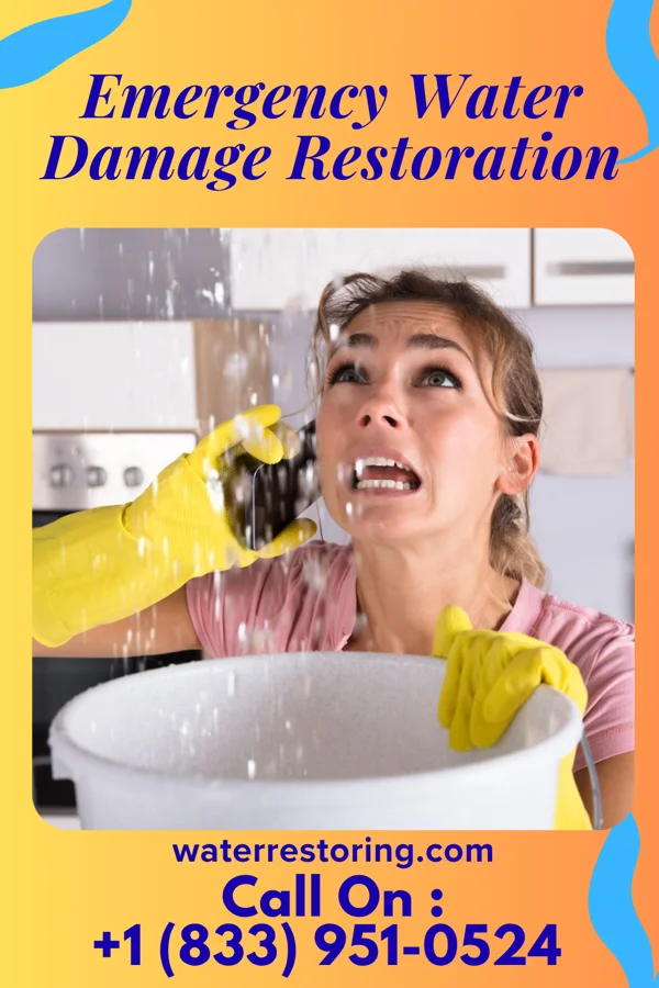 Emergency Water Damage Restoration in Maxbass, ND