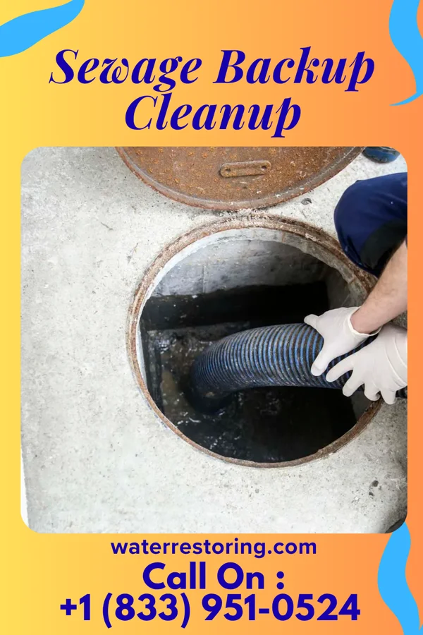 Sewage Backup Cleanup in Maxbass, ND